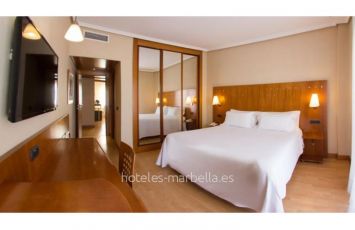 Hotel NH San Pedro
